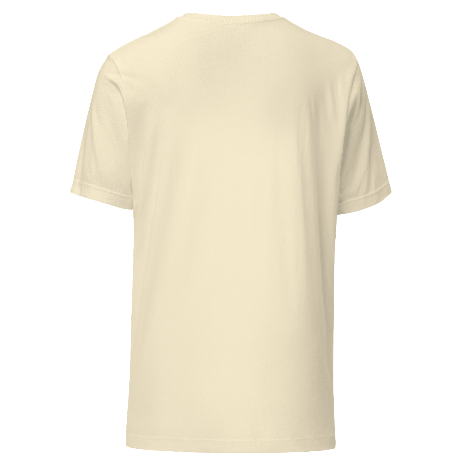Daily Practice Tee — Ghost Back